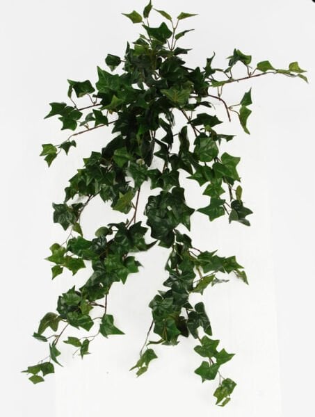 Yapay Sarmaşık English Ivy 80cm Yeşil