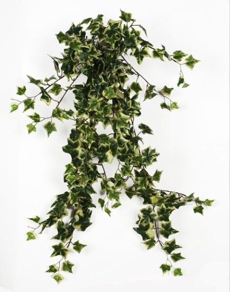 Yapay Sarmaşık Holland Ivy 80cm Alacalı