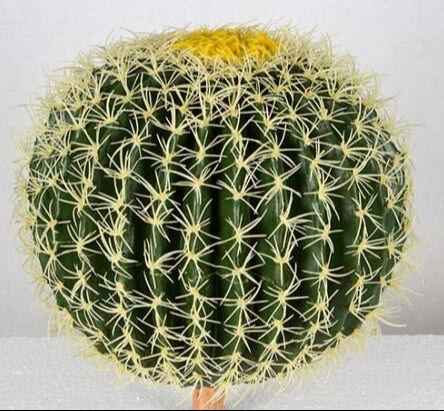 Yapay Top Kaktüs 40 cm
