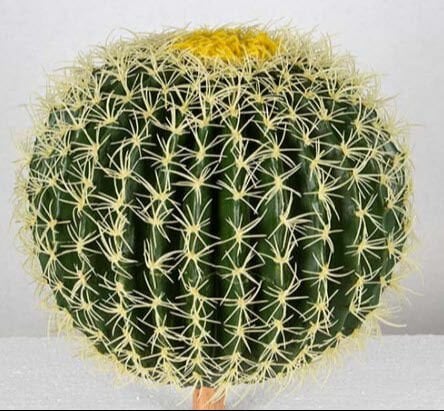 Yapay Top Kaktüs 40 cm