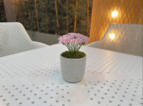 Krem Seramik Saksıda Pembe Yapay Papatya 15 cm