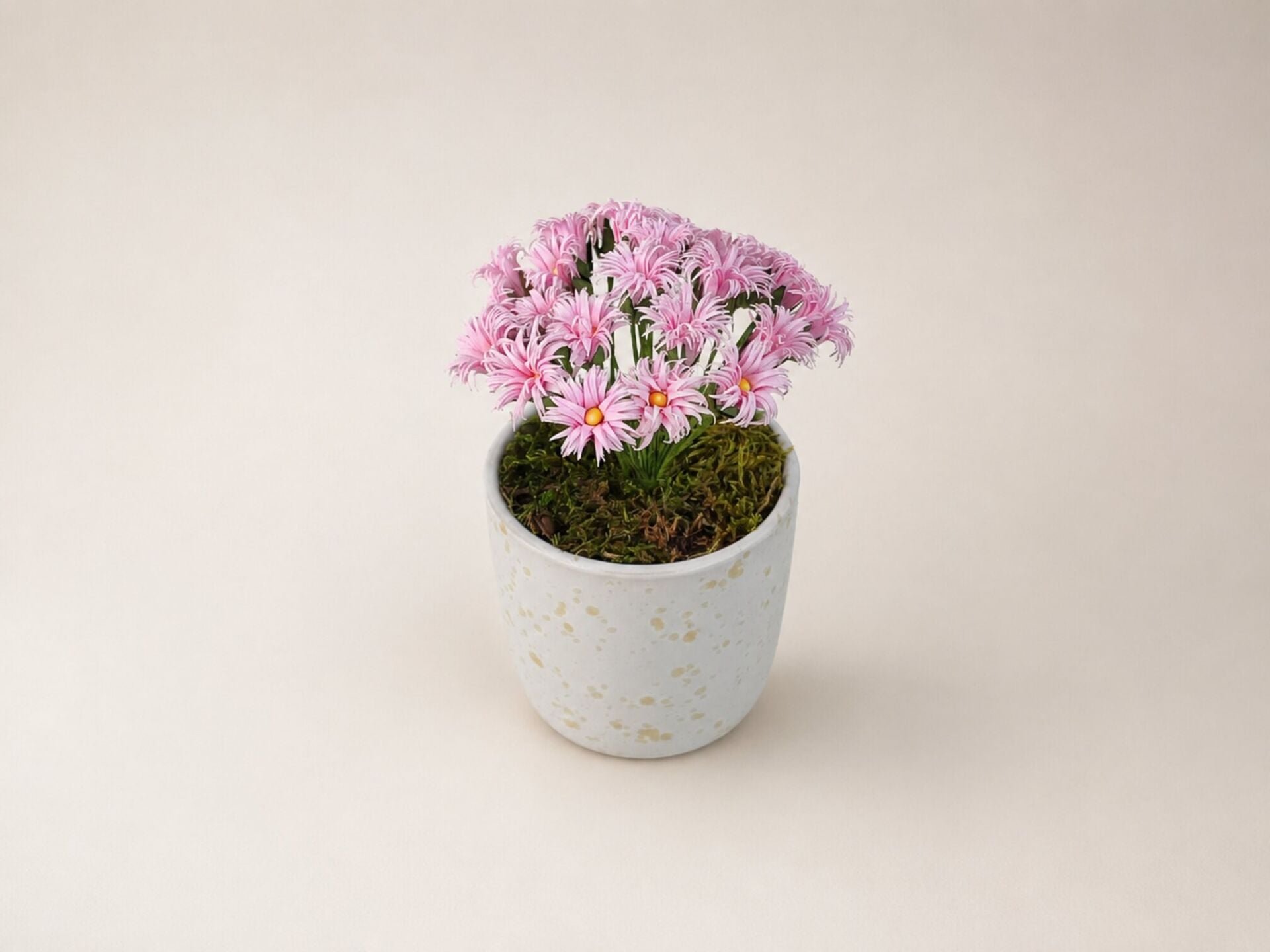Krem Seramik Saksıda Pembe Yapay Papatya 15 cm