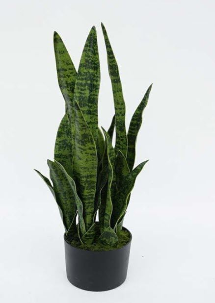 Yapay Sansevieria - Yapay Paşakılıcı Yeşil 60cm
