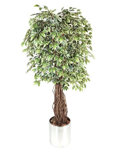 Yapay Ağaç Ficus Benjamin 210cm Metal Saksılı