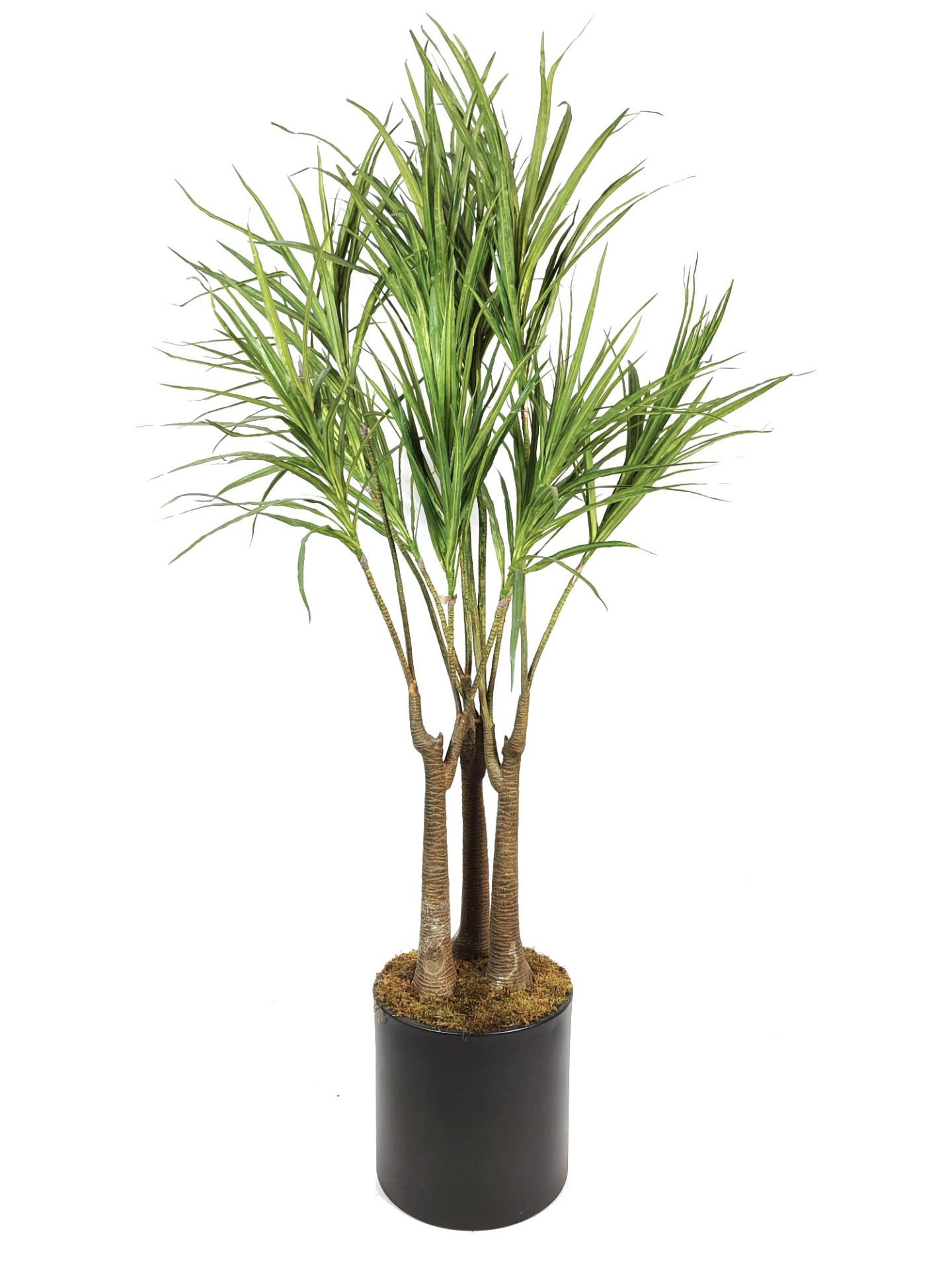 Yapay Ağaç Yucca 3 Gövde 180cm