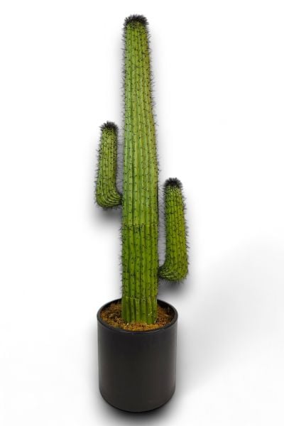Yapay Kaktüs Ağacı - Mexico Cactus - 160cm