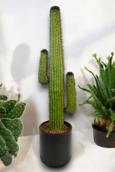 Yapay Kaktüs Ağacı - Mexico Cactus - 160cm