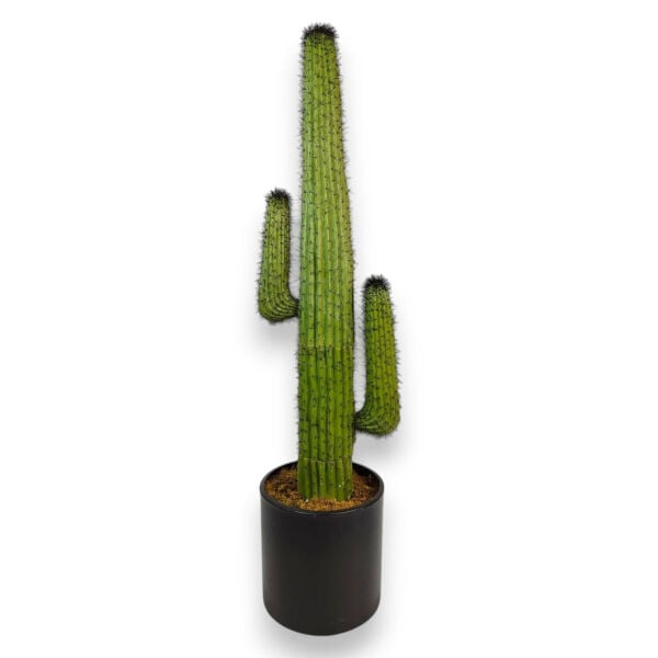 Yapay Kaktüs Ağacı - 160 cm
