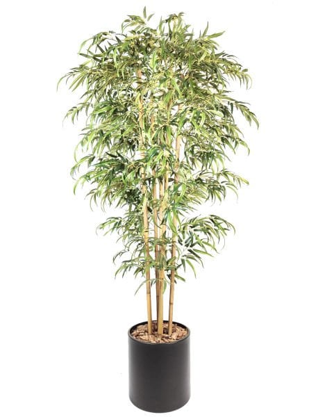 Yapay Bambu Ağacı - Metal Saksi -220cm