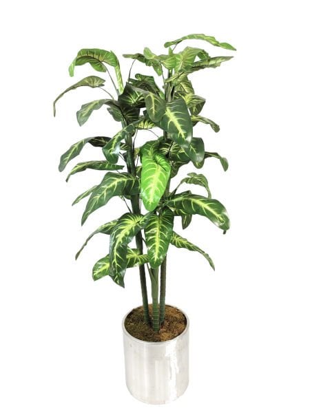 Yapay Difenbahya Ağacı - 180cm