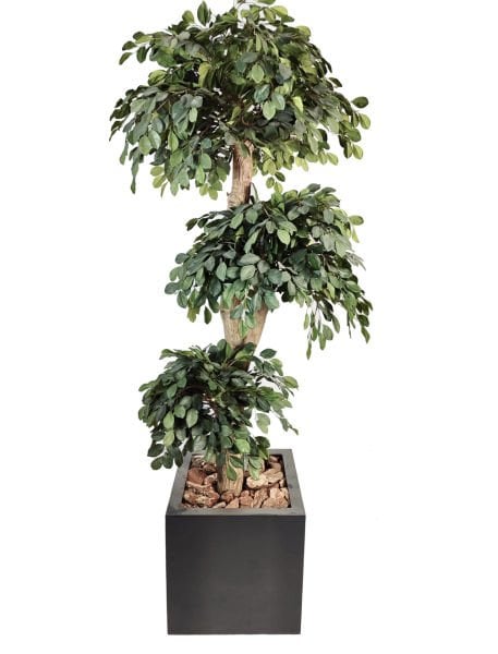 Yapay Ağaç - Ficus Topiary - 240cm