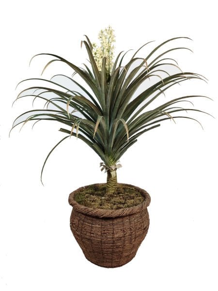 Tropical Tree 160cm - Hasır Saksı içinde