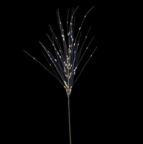 Yapay Çiçek Kristal 75cm Yeşil