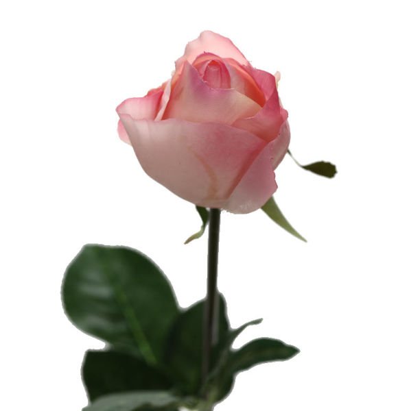Yapay Çiçek Gül 72cm Pembe