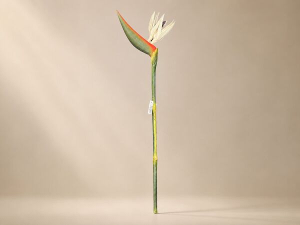 Yapay Starliçe Dalı 100 cm