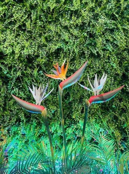 Tropikal Yapay Çiçek Starliçe Cennet Kuşu 95cm Beyaz