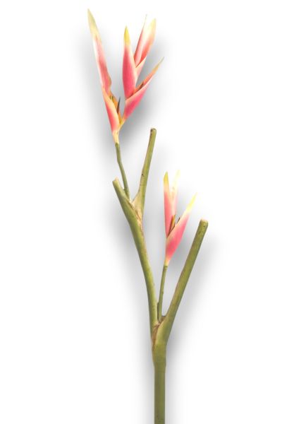 Tropikal Yapay Çiçek Starliçe Cennet Kuşu 138cm Pembe