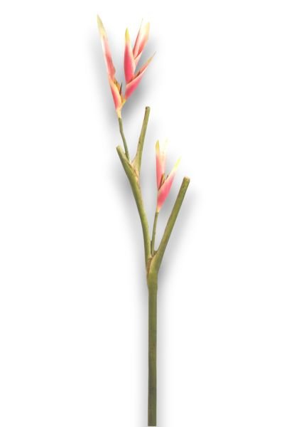 Tropikal Yapay Çiçek Starliçe Cennet Kuşu 138cm Pembe