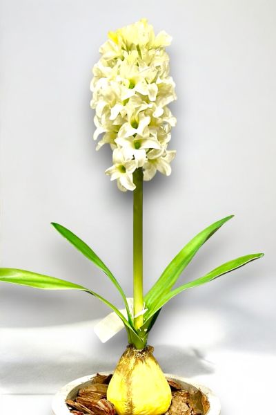 Yapay Çiçek Sümbül 38cm Beyaz