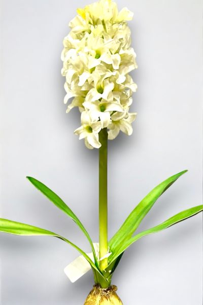 Yapay Çiçek Sümbül 38cm Beyaz