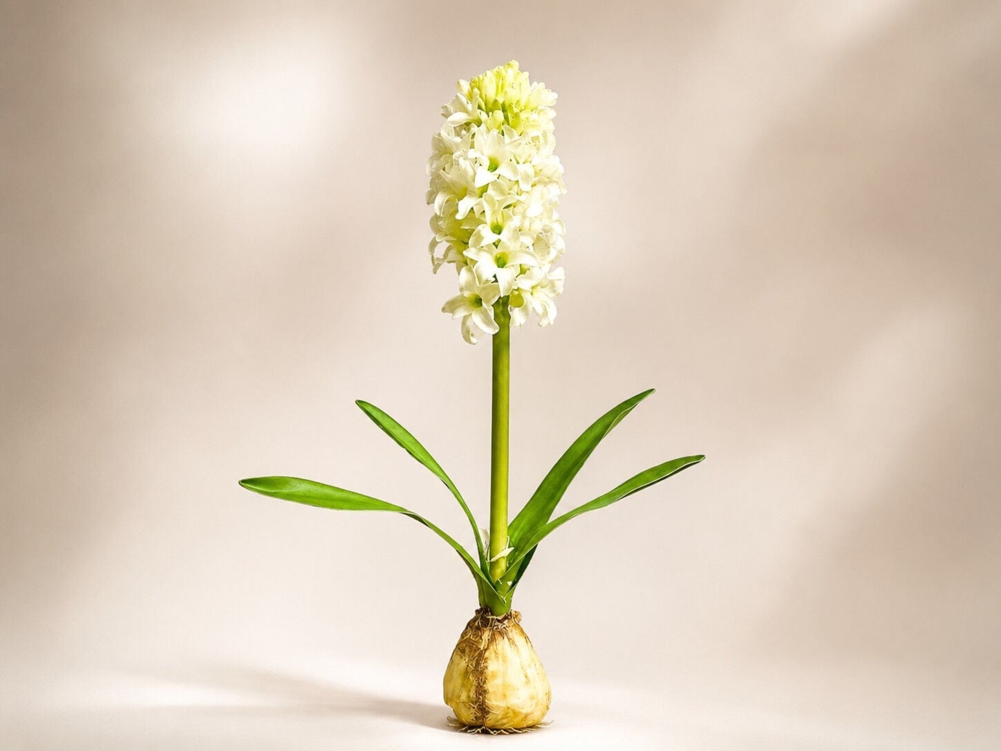 Yapay Sümbül 38 cm Beyaz