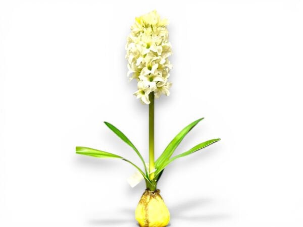Yapay Beyaz Sümbül Çiçeği (38 cm)