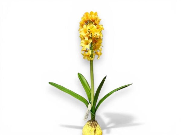 Yapay Sümbül Çiçeği Sarı (38 cm)