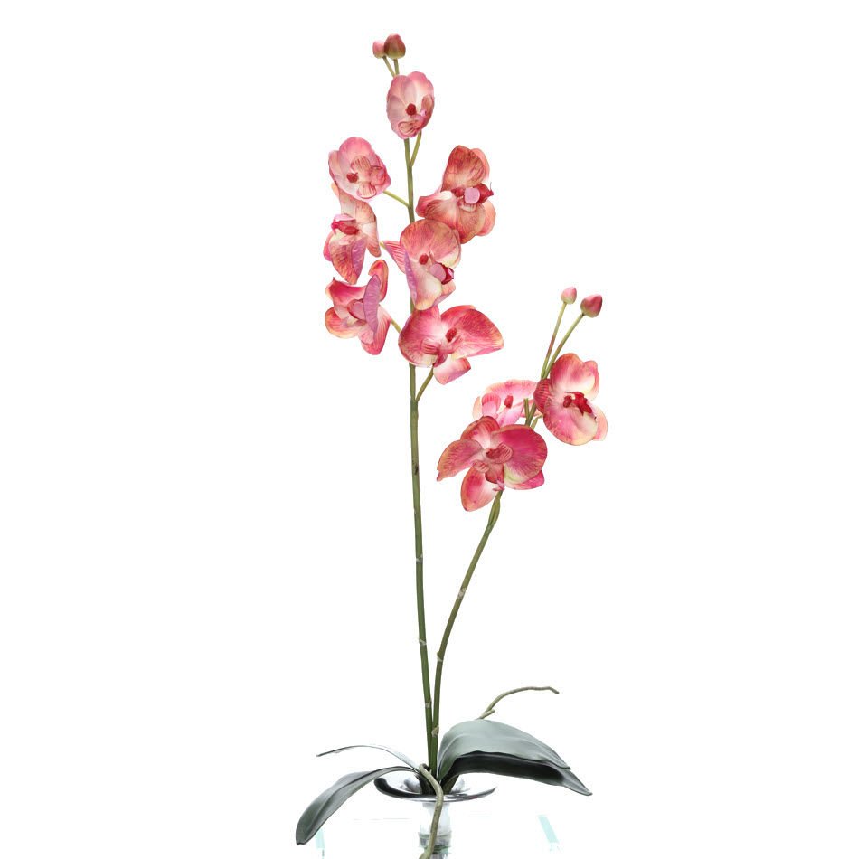 Yapay Çiçek Orkide Phalaenopsis 88cm