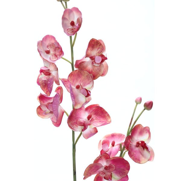 Yapay Çiçek Orkide Phalaenopsis 88cm