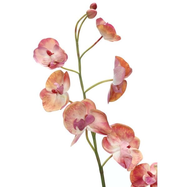 Yapay Çiçek Orkide Phalaenopsis 88cm