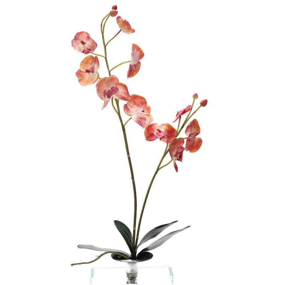 Yapay Çiçek Orkide Phalaenopsis 88cm