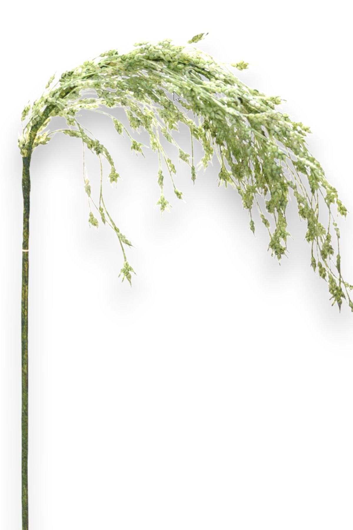 Yapay Çiçek Pampas Yeşil 57cm