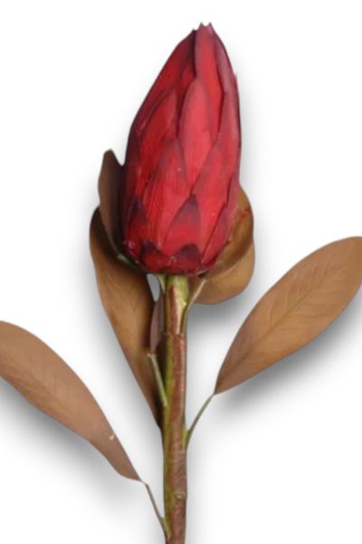 Royal Lotus Protea 86cm Bordo
