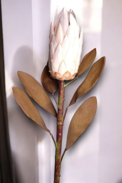 Royal Lotus Protea 86cm Krem