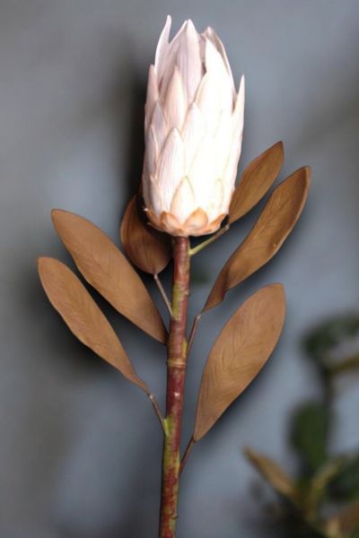 Royal Lotus Protea 86cm Krem