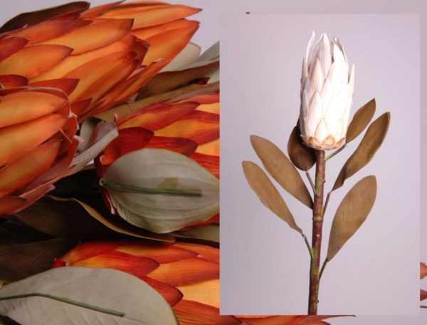 Büyük Dekoratif Yapay Çiçek Dalı Protea 86 cm – Krem