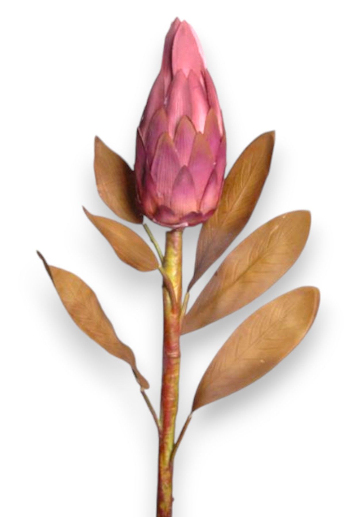 Royal Lotus Protea 86cm Mor