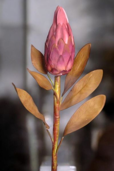 Royal Lotus Protea 86cm Mor
