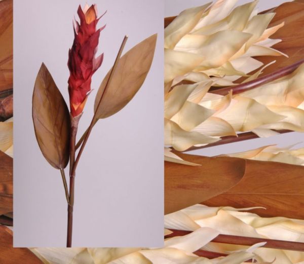 Tropikal Ginger 90cm Bordo