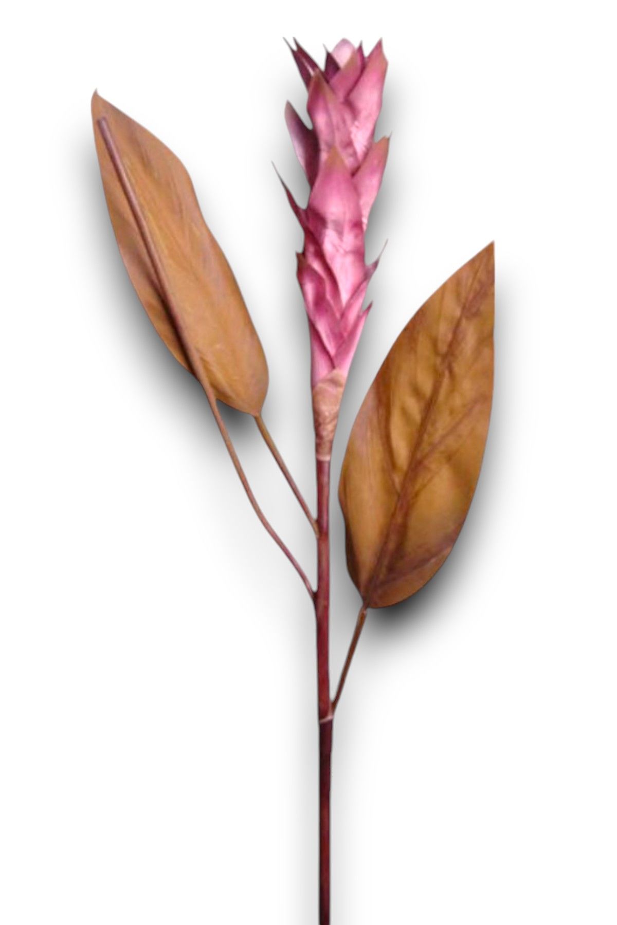 Tropikal Ginger 90cm Mor