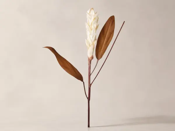 Yapay Ananas Çiçeği Dalı 90 cm Krem