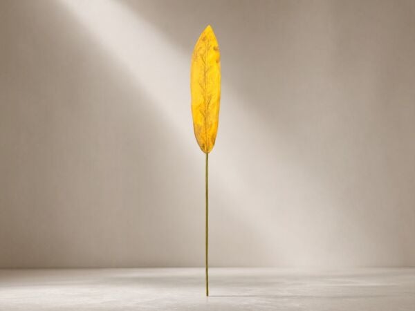 Yapay Starliçe Yaprağı Dalı 85 cm - Kurutulmuş Hardal