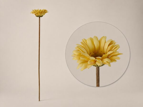 Yapay Gerbera Papatya 63 cm Krem