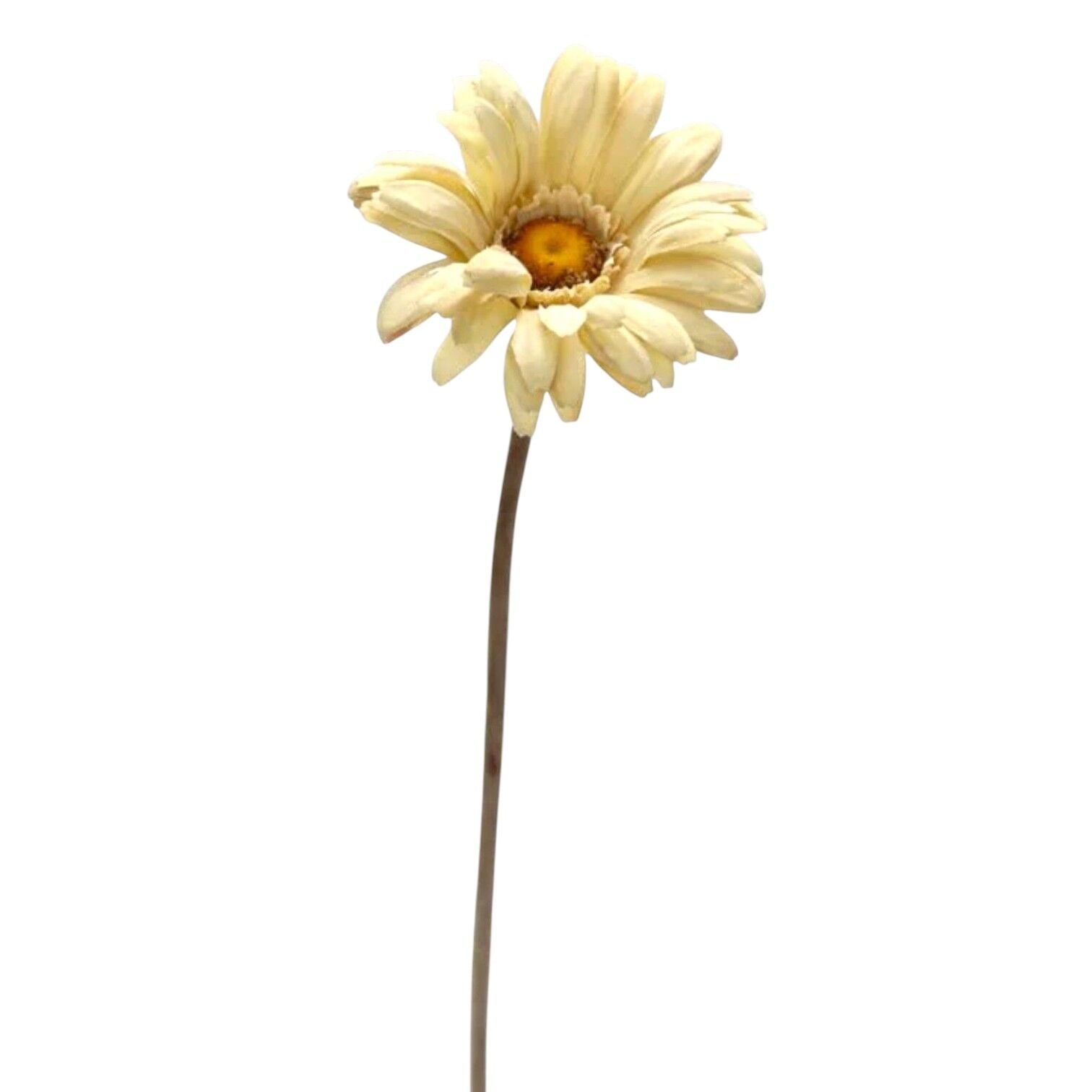 Krem Yapay Papatya Gerbera Dalı 63 cm