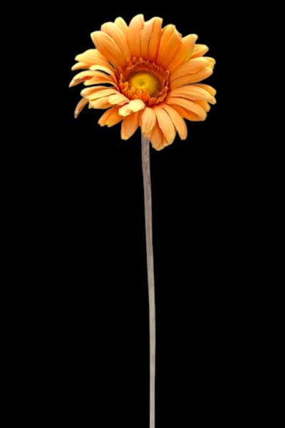 Turuncu Yapay Papatya Gerbera Dalı 63 cm