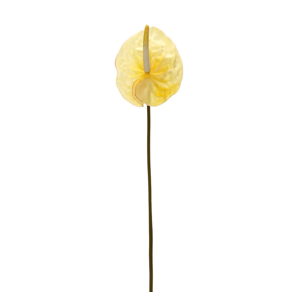 Yapay Çiçek Antoryum 66cm Sarı