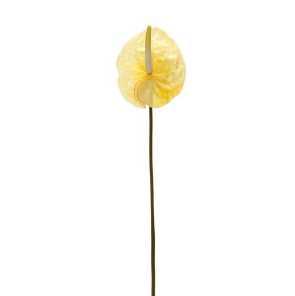 Yapay Çiçek Antoryum 66cm Sarı