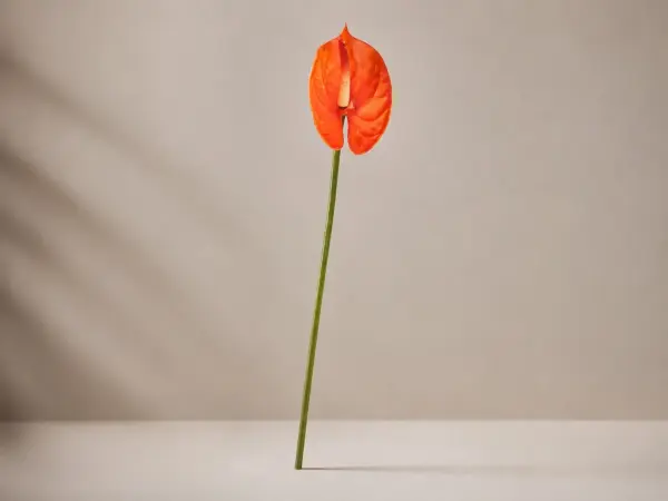 Turuncu Yapay Antoryum Dalı 60 cm