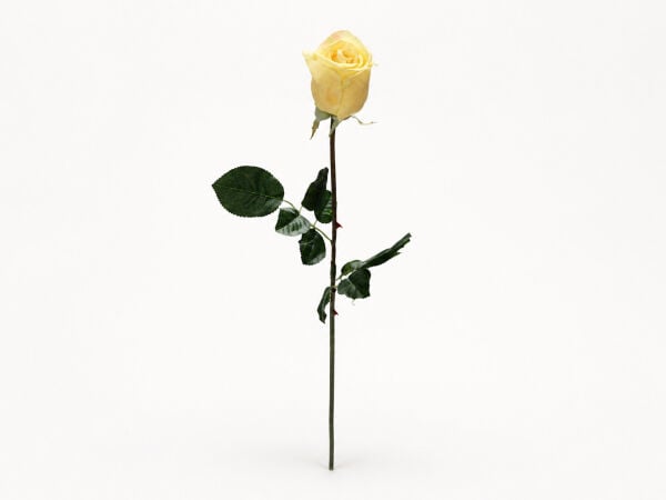 Sarı Yapay Gül 72 cm – 495