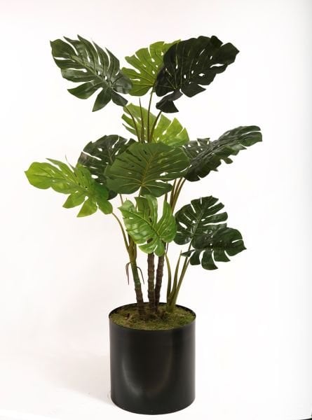 Yapay Ağaç Monstera Deve Tabanı 160cm